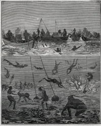 Pescadores de pérolas no Ceilão (actual Sri Lanka) no século XIX. Gravura de 1885 em "Les arts et metiers illustres" de Adolphe BITARD.