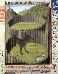 Piege a wolf - no "Livro de Caça de Gaston Phoebus, Conde de Foix, Senhor de Béarn".