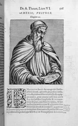 Retrato de Amerigo Vespucci (1454-1512)