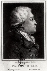 Retrato de Felix Vicq dAzyr (1748-94)