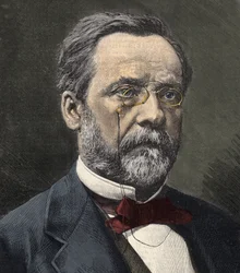Retrato de Louis Pasteur (1822-1895), químico e microbiologista inglês