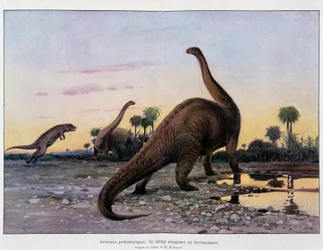 Animais pré-históricos: um laelaps atacando um brontausore - em "O Universo e a Humanidade".