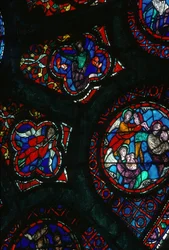 Detalhe da janela rosa