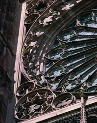 Detalhe da janela rosa