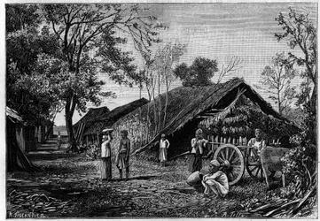 Produção de seda numa aldeia nos arredores de Mandalay, na Birmânia, onde os vermes da seda fiam o seu algodão. (De uma fotografia do Conde Mahe de La Bourdonnais). Gravura em "La Nature: Revue des sciences et de leurs applications aux arts et a l