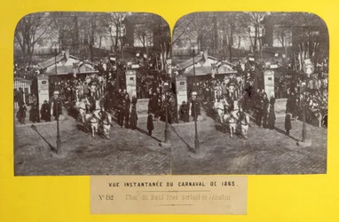 O Carnaval de 1863 em Paris, o flutuador de boi gordo deixando o matadouro, visão estereoscópica, 1863