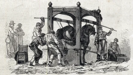 A Escola Nacional de Veterinária de Alfort - As grandes escolas de França - Escola de Veterinária de Maisons-Alfort em 1866 - a ferragem de cavalos rebeldes - gravura em «Le Monde illustré» de 1866