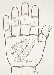 A mão direita, linhas principais, cópia de uma ilustração de Chiromantia por Ioannes ab Indagine, 1531, usado em uma história da magia, publicado no final do século XIX