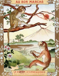 O macaco e a porca (Fable de La Fontaine) - vinheta publicitária do Bon Marché