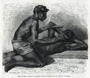O tamanho dos dentes no Okanda, desenho de D. Maillard, para ilustrar a história de uma viagem ao Gabão e ao rio Ogoue em 1875-1877, de Alfred Marche. Gravura em Le tour du monde