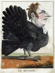 O peru em Caricatura, estudo do personagem "carácter volátil" sd. 19º, imaginário popular.