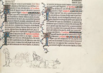 Transportando pertences em uma carroça puxada por bois, miniatura inacabada da Bíblia de Jean de Sy, c.1355