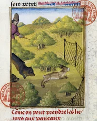 Armadilha para lebre e cães de caça - no "Livro de Caça de Gaston Phoebus, Conde de Foix, Senhor de Bearn".