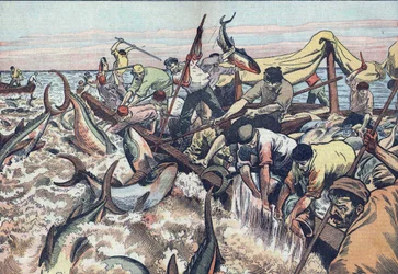 Pesca do atum na Tunísia:1925