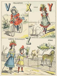 VXYZ: velocípede, yole, jardim zoológico, zebra