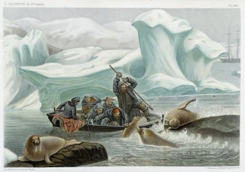 A caça à morsa - no "Le monde de la mer" de Alfred Fredol, Hachette, Paris