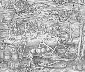 Pesca à baleia, ilustração da "Cosmographie Universelle", de André de Thevet