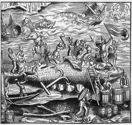 A pesca da baleia na costa francesa do Oceano Atlântico na Idade Média. Gravura em "La Marine et les colonies: commerce".