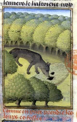 Lobo - no "Livro de Caça de Gaston Phoebus, Conde de Foix, Senhor de Béarn".