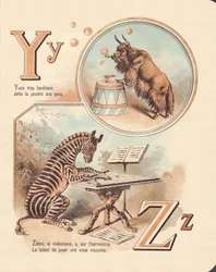 YZ: Sim, Zebra