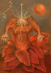 Flor da vida