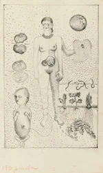 Frida e o aborto