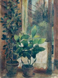 Janela com flores