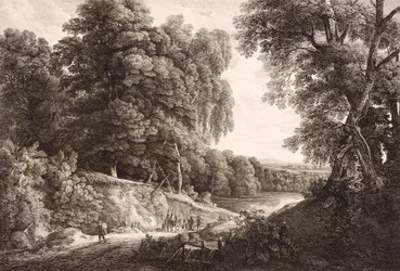 paisagem da floresta