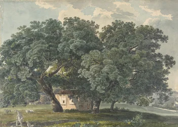 Paisagem italiana com árvores reto, 1815-21.