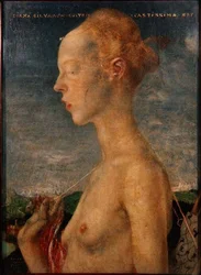 Diana, a Caçadora (óleo)