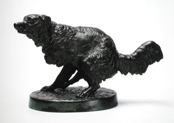 Cão de caça de pêlo comprido