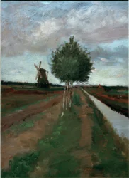 Moinho e estrada com bétulas