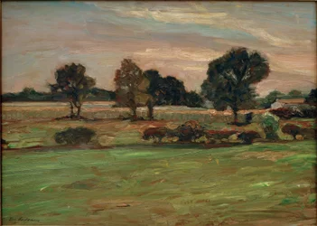Paisagem de charneca
