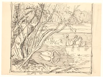 Um lago com quatro cisnes