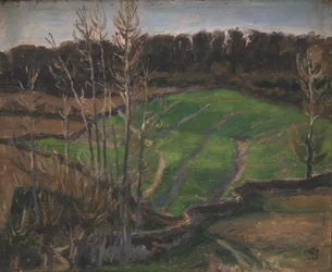 Paisagem em Svanninge com sementes verdes de inverno