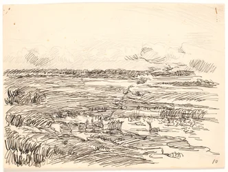 Paisagem coberta de musgo