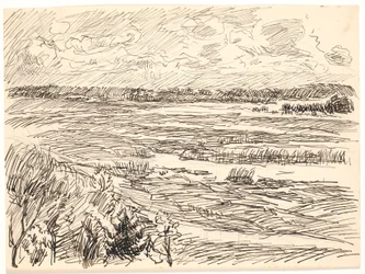 Paisagem coberta de musgo