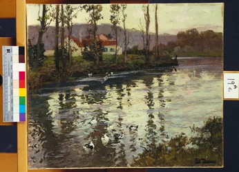 Paisagem do rio com patos