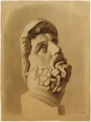 Kopfdetail of Laokoon