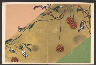 Shasei sôka môyô, padrões de plantas e flores da vida