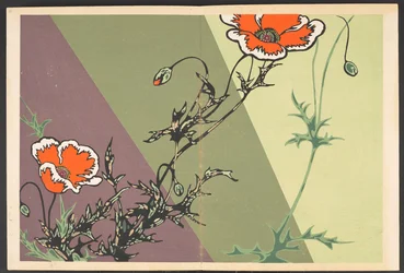 Shasei sôka môyô, Padrões de plantas e flores da vida