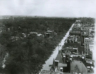 Quinta Avenida, olhando para o norte do telhado do Metropolitan Club na 61st Street, New York City, c.1904