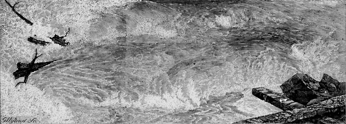 As corredeiras acima das cataratas, c1840, 1883