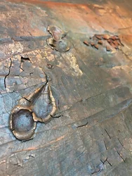 Textura dourada envelhecida