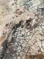 Textura de terra rachada