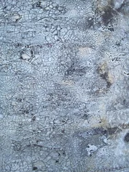 Textura cinzenta rachada