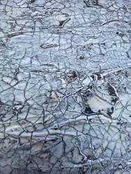 Textura branca craquelada