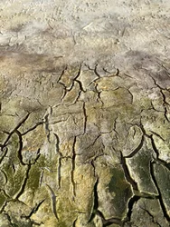 Padrão de casca envelhecida