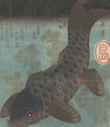 Carpa e Pinheiro.