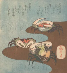 Caranguejos perto da beira da água, ca. 1830.